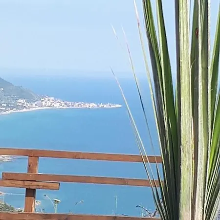 Tenuta Belvedere Cilento *