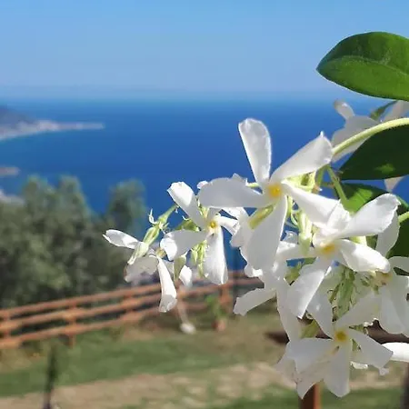 Tenuta Belvedere Cilento *