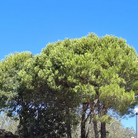 Tenuta Belvedere Cilento