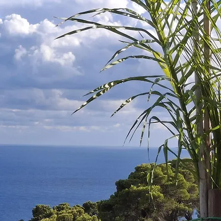 Farm stay Tenuta Belvedere Cilento *