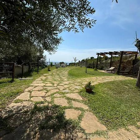 Tenuta Belvedere Cilento Farm stay Montecorice