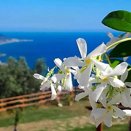 Tenuta Belvedere Cilento Çiftlik konaklama